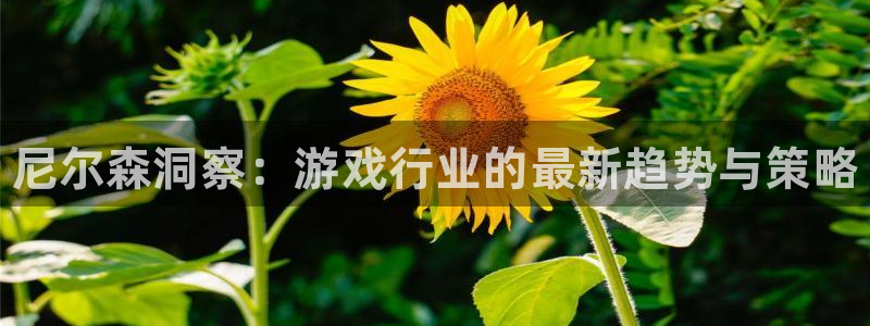 优贝娱乐平台注册资金多少：尼尔森洞察：游戏行业的最新趋势与策