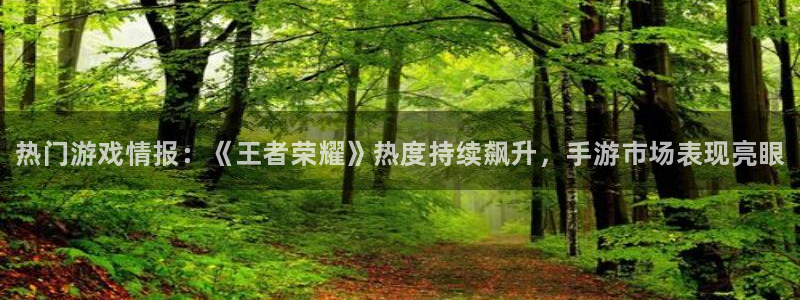 优贝娱乐app下载：热门游戏情报：《王者荣耀》热度持续飙升，
