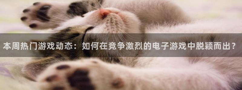 优贝娱乐平台登录入口：本周热门游戏动态：如何在竞争激烈的电子