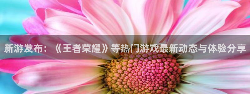 优贝娱乐平台负责人：新游发布：《王者荣耀》等热门游戏最新动态