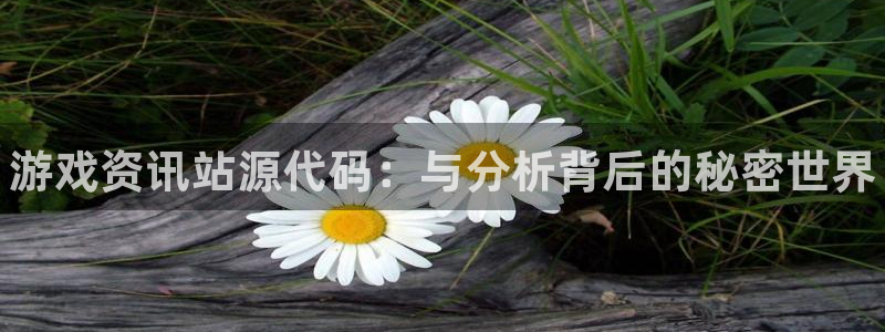 优贝娱乐集团：游戏资讯站源代码：与分析背后的秘密世界