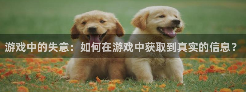 优贝娱乐登陆：游戏中的失意：如何在游戏中获取到真实的信息？