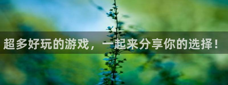 优贝娱乐手机网页版登录：超多好玩的游戏，一起来分享你的选择！