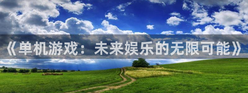 优贝娱乐4主管：《单机游戏：未来娱乐的无限可能》